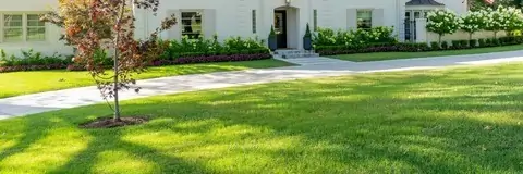 Garden Design and Installation