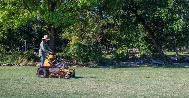 Lawn care services